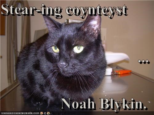 Stear-ing coynteyst  ... Noah Blykin.