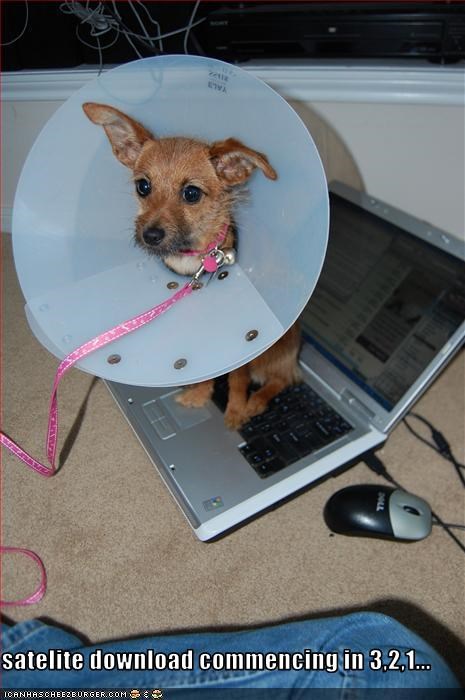 satelite download commencing in 3,2,1...