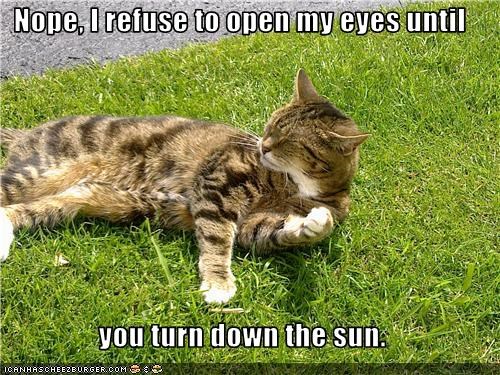 Nope, I refuse to open my eyes until   you turn down the sun.