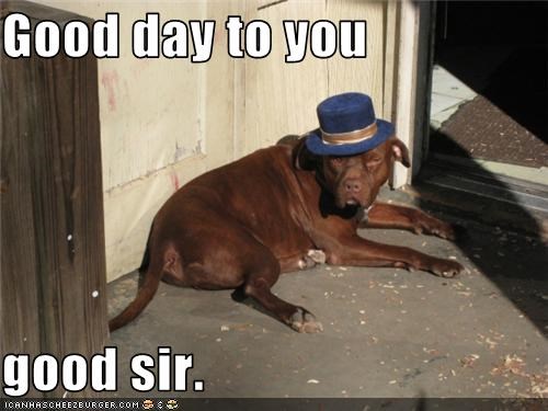 Good day to you  good sir.