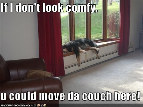 If I don't look comfy,  u could move da couch here!
