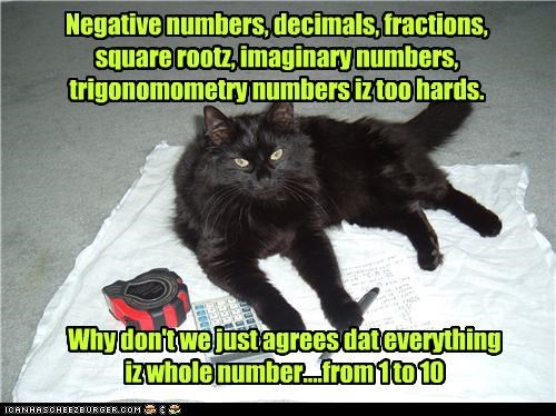 Negative numbers, decimals, fractions, square rootz, imaginary numbers, trigonomometry numbers iz too hards.