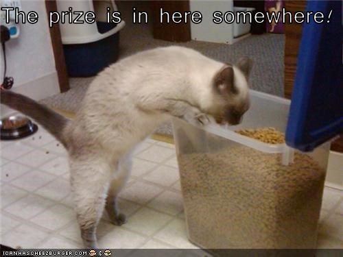 The prize is in here somewhere!