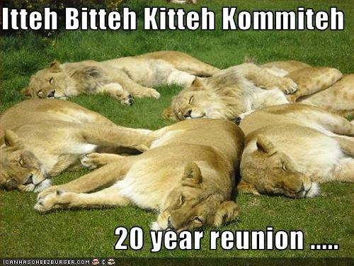Itteh Bitteh Kitteh Kommiteh  20 year reunion .....