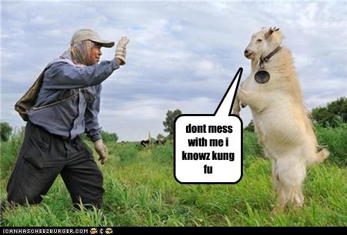 dont mess with me i knowz kung fu