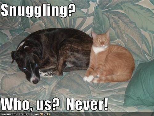 Snuggling?   Who, us?  Never!