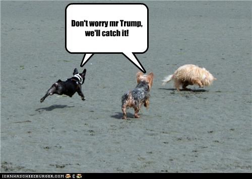 Don't worry mr Trump, we'll catch it!