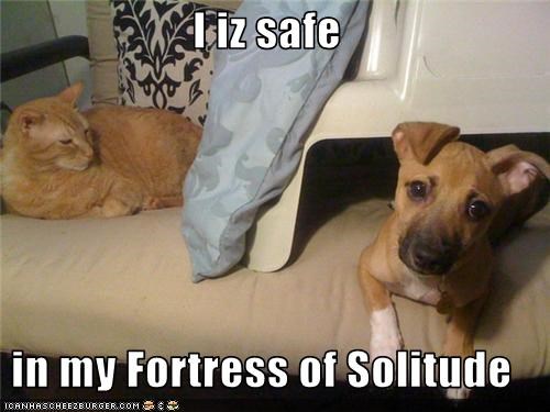 I iz safe  in my Fortress of Solitude