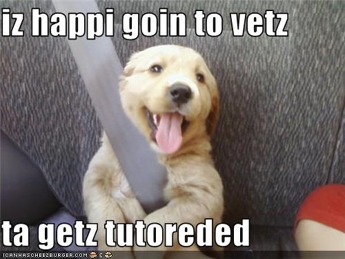 iz happi goin to vetz  ta getz tutoreded