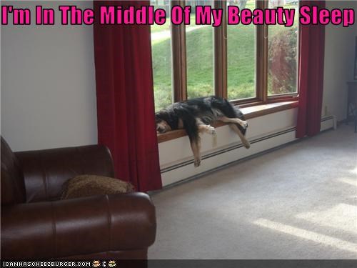 I'm In The Middle Of My Beauty Sleep