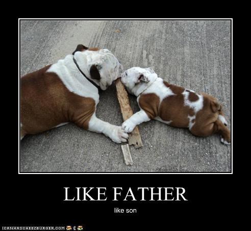 LIKE FATHER