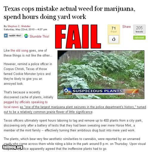 Marijuana Bust Fail