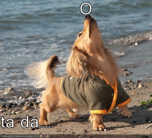 O  ta da.....