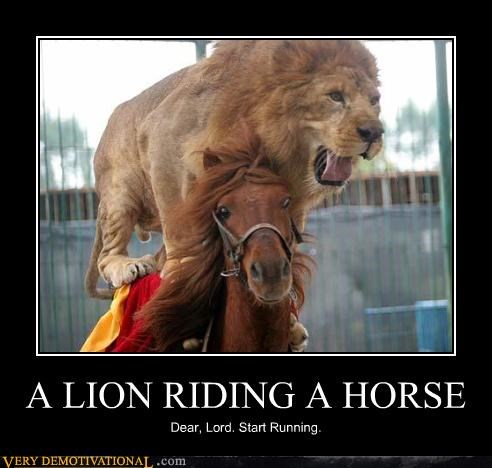A LION RIDING A HORSE