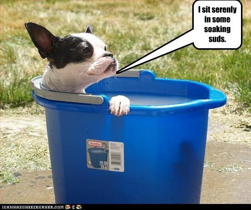 I sit serenly in some soaking suds.