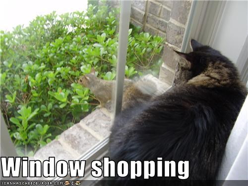 Window shopping