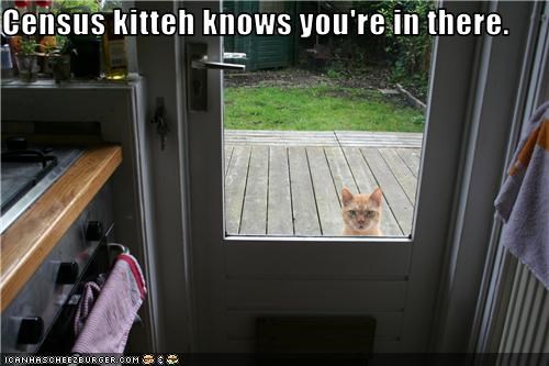 Census kitteh knows you're in there.
