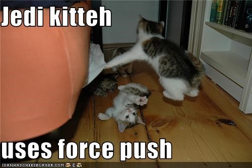 Jedi kitteh  uses force push