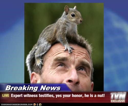 Breaking News - Expert witness testifies, yes your honor, he is a nut!