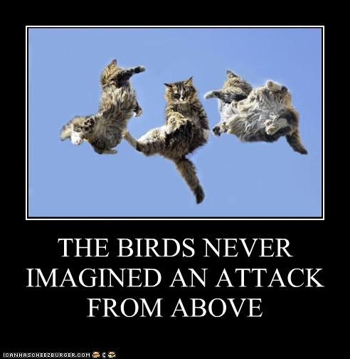 THE BIRDS NEVER IMAGINED AN ATTACK FROM ABOVE