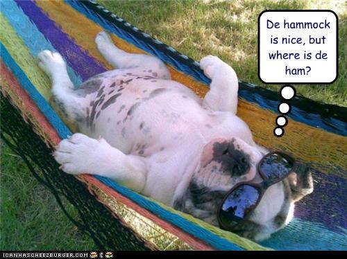 De hammock is nice, but where is de ham?