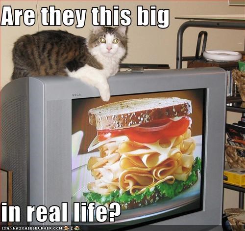 Are they this big  in real life?