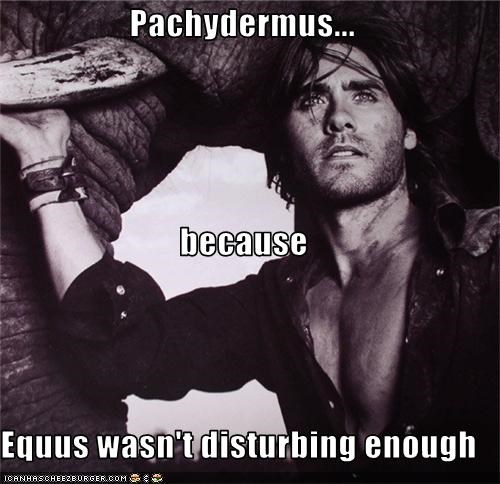 Pachydermus... because Equus wasn't disturbing enough