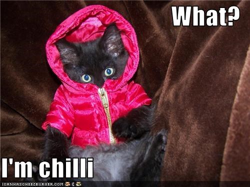 What?  I'm chilli