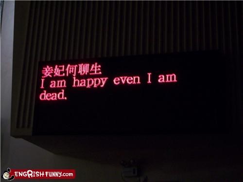 Drop dead happy