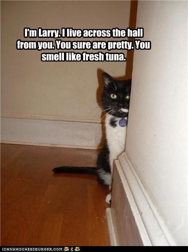 I'm Larry. I live across the hall from you. You sure are pretty. You smell like fresh tuna.
