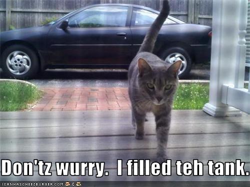 Don'tz wurry.  I filled teh tank.