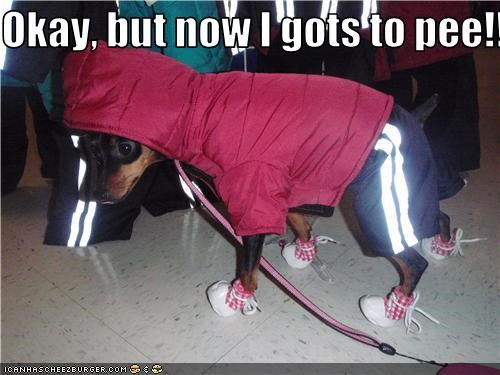 Okay, but now I gots to pee!!