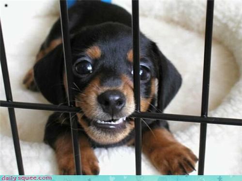 Breaking Out of Jail