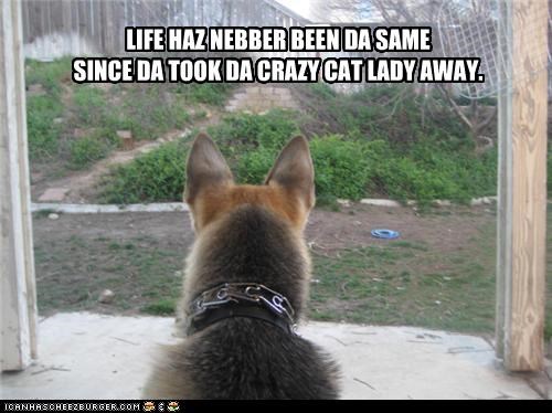 LIFE HAZ NEBBER BEEN DA SAME SINCE DA TOOK DA CRAZY CAT LADY AWAY.