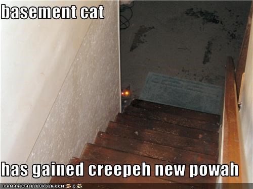 basement cat  has gained creepeh new powah
