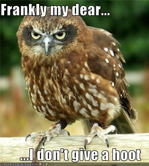 Frankly my dear...  ...I don't give a hoot