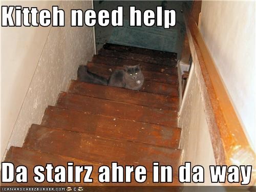 Kitteh need help  Da stairz ahre in da way