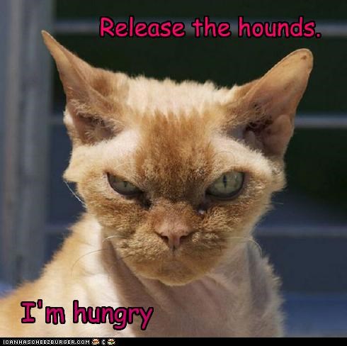 Release the hounds.