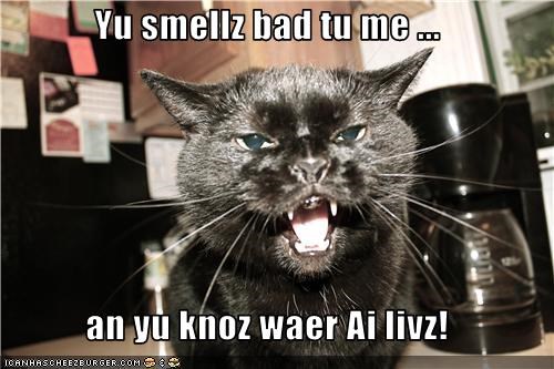 Yu smellz bad tu me ...  an yu knoz waer Ai livz!
