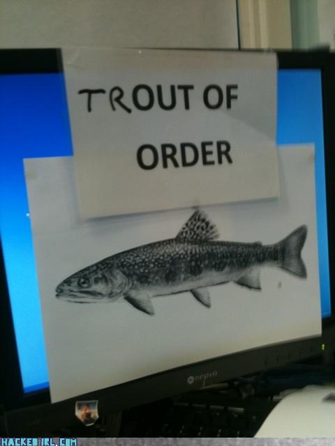 Trout Of Order