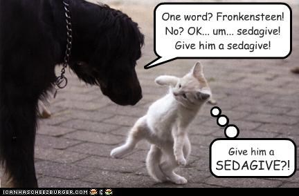 Give him a SEDAGIVE?!