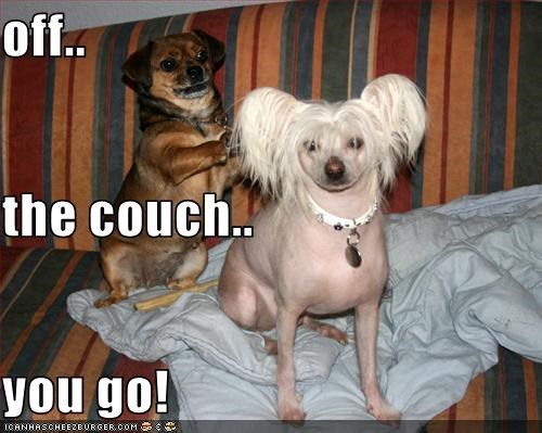 off.. the couch.. you go!