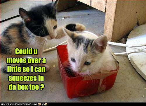 Could u moves over a little so I can squeezes in da box too ?