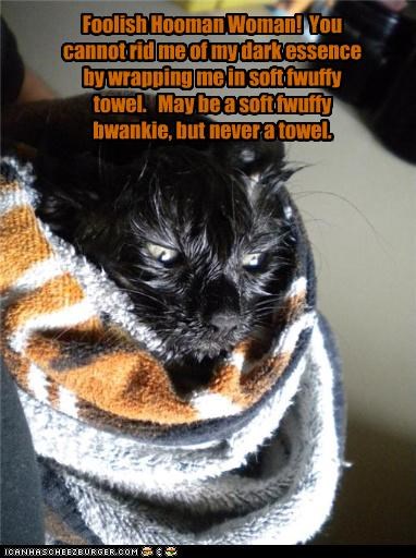 Foolish Hooman Woman!  You cannot rid me of my dark essence by wrapping me in soft fwuffy towel.   May be a soft fwuffy bwankie, but never a towel.