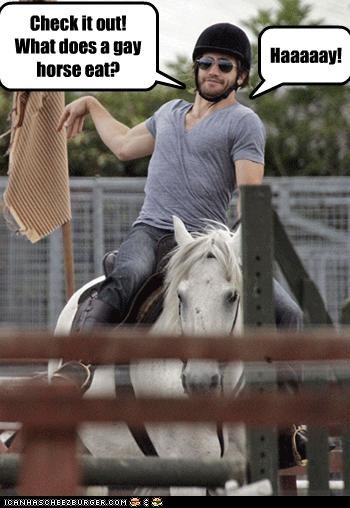 Check it out! What does a gay horse eat?