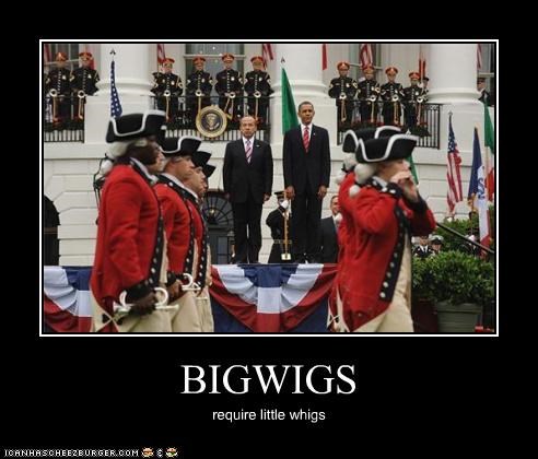 BIGWIGS