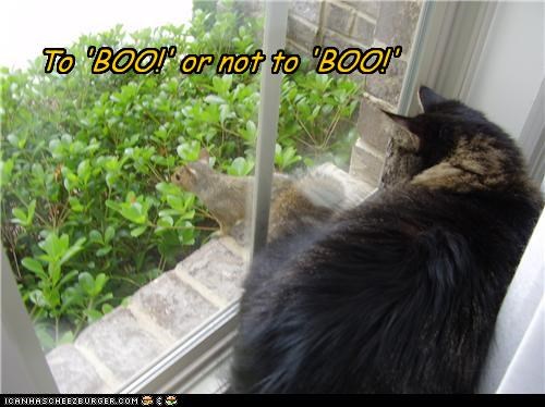 To 'BOO!' or not to 'BOO!'