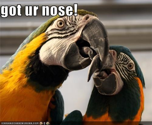 got ur nose!