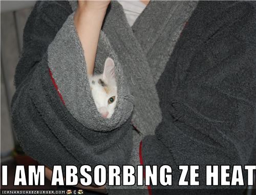 I AM ABSORBING ZE HEAT...
