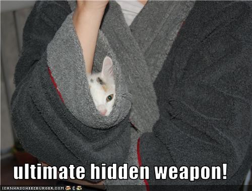 ultimate hidden weapon!